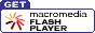 FLASH PLAYER̍ŐVłCXg[ł܂